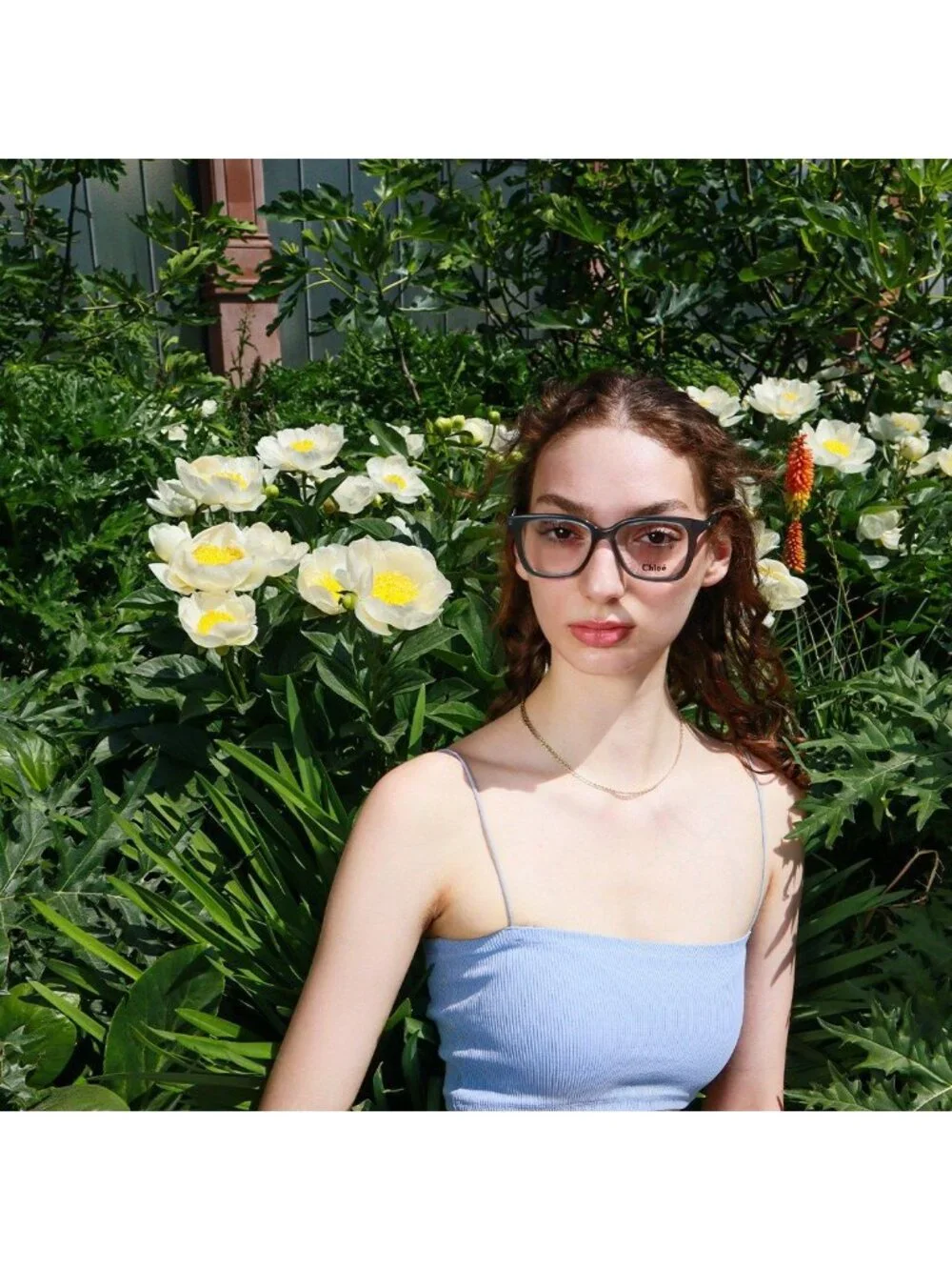 Chloe CH0090O 006 Square Eyeglasses 52mm - Havana
